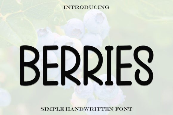 Berries: A Playful Display Font for Editorial Charm